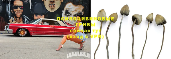 spice Алзамай