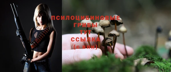 spice Алзамай