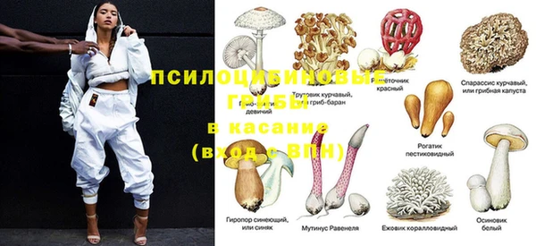 ALPHA PVP Алексин