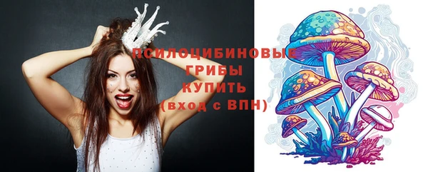spice Алзамай
