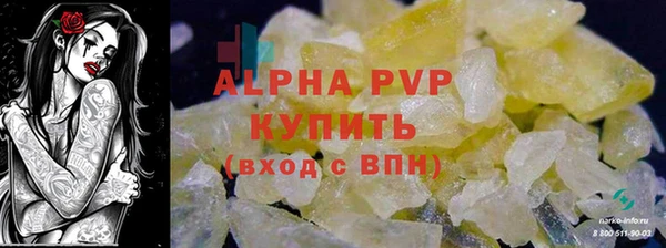 spice Алзамай