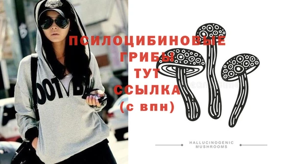 соль курить ск Алексеевка