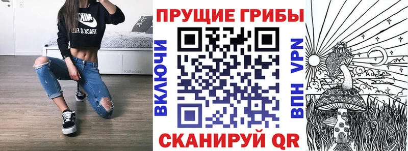 Псилоцибиновые грибы Psilocybine cubensis  Сосновый Бор 