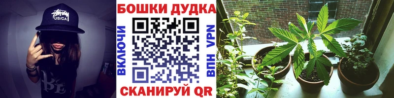 где купить   Сосновый Бор  МАРИХУАНА план 